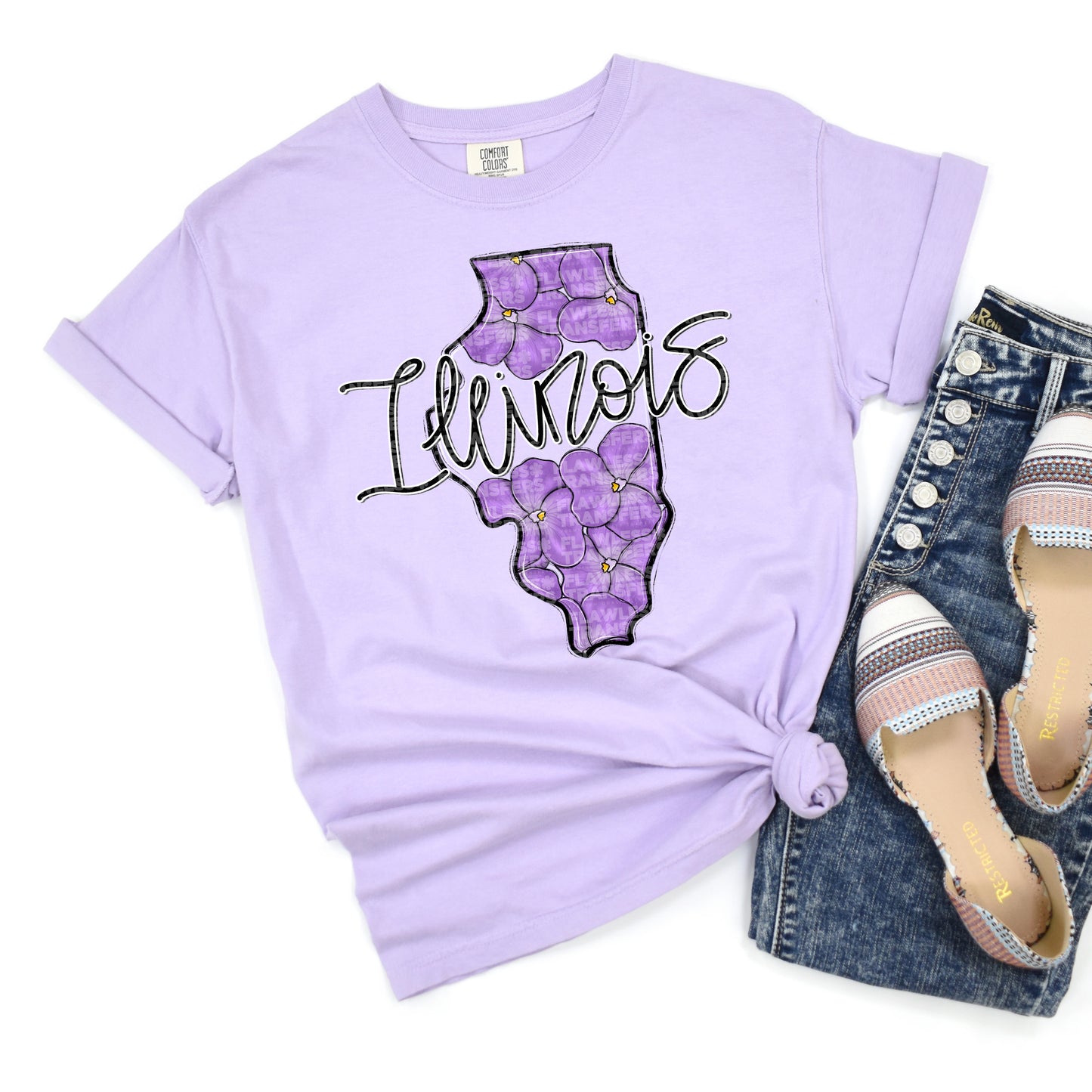 Illinois Whimsy States DTF Transfer